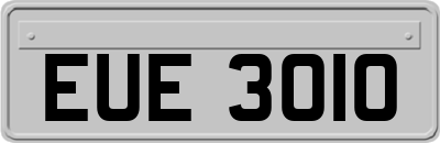 EUE3010