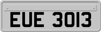 EUE3013