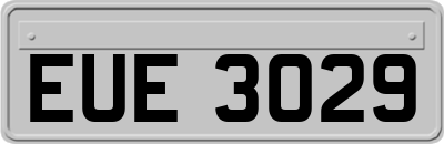EUE3029