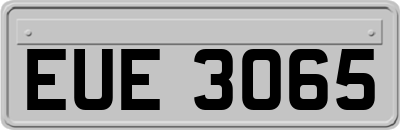 EUE3065