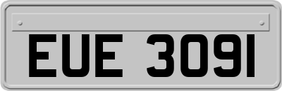 EUE3091