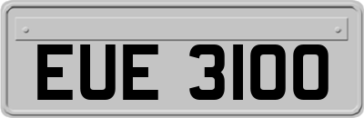 EUE3100
