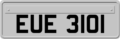 EUE3101