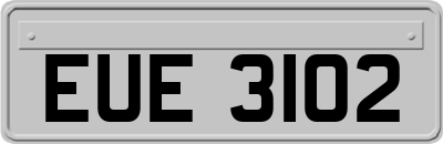 EUE3102