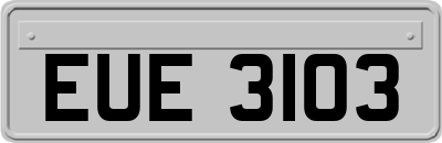 EUE3103