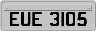 EUE3105