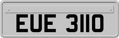 EUE3110