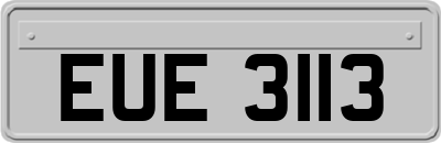 EUE3113