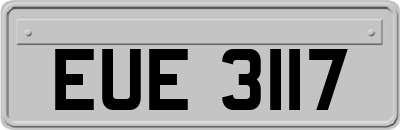 EUE3117