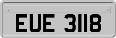 EUE3118