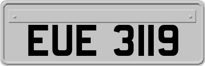 EUE3119