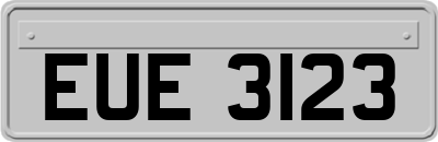 EUE3123