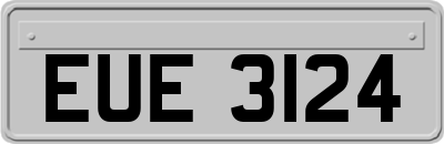 EUE3124