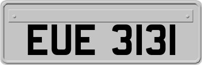 EUE3131