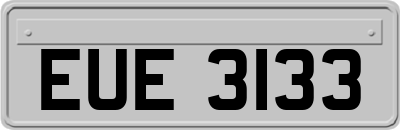 EUE3133