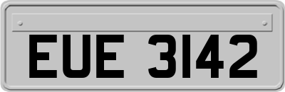EUE3142