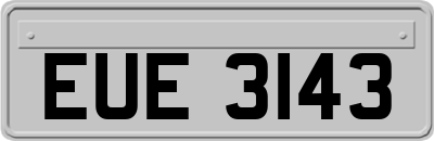 EUE3143