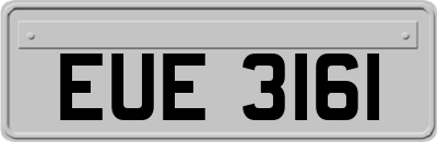 EUE3161