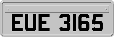 EUE3165