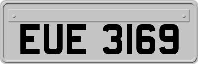 EUE3169