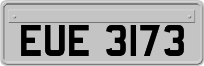 EUE3173