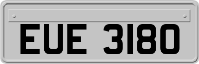 EUE3180