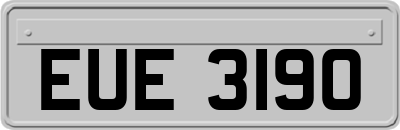 EUE3190