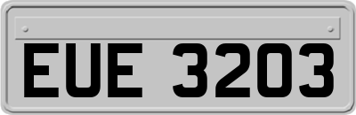 EUE3203