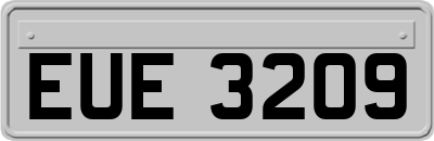 EUE3209