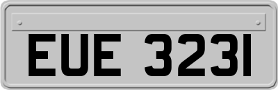 EUE3231