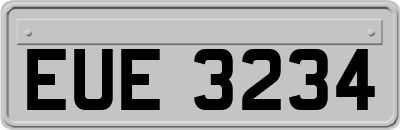 EUE3234