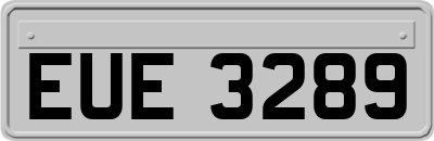 EUE3289
