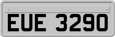 EUE3290