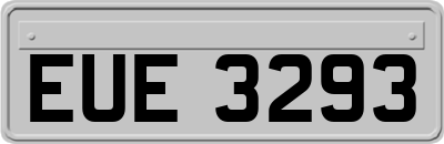 EUE3293