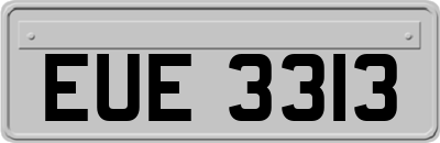 EUE3313