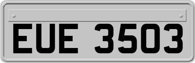 EUE3503
