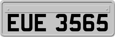 EUE3565