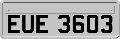 EUE3603
