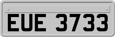 EUE3733