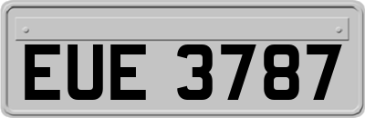 EUE3787