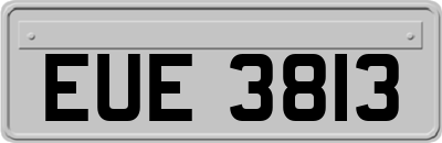 EUE3813