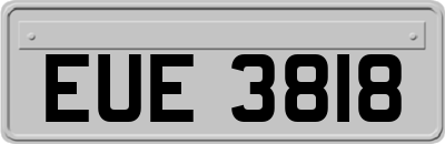 EUE3818