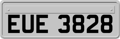 EUE3828