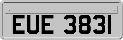 EUE3831