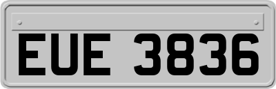 EUE3836
