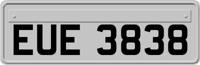 EUE3838