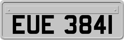 EUE3841