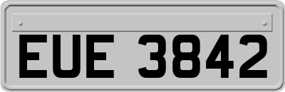 EUE3842