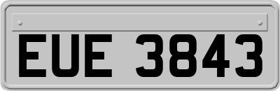 EUE3843