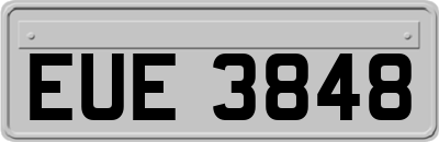 EUE3848